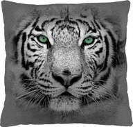 Kołdry i poduszki dla dzieci - Bertoni-arco Poduszka - TIGER 40x40 cm - miniaturka - grafika 1