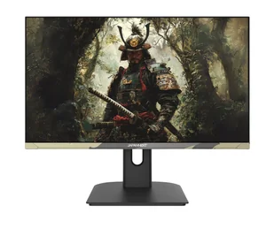 JAPANNEXT JN-IPS238FHD200F-HSP-CAMO 61 cm (24") FHD LCD Czarny - Monitory - miniaturka - grafika 1