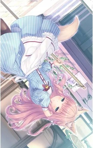 Plakat Anime Manga Nekopara np_115 A2 (custom)