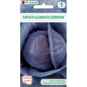 Nasiona i cebule - Kapusta włoska Langedijská W.Legutko - miniaturka - grafika 1