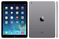 Elektronika OUTLET - [OUTLET] Apple iPad Mini 16GB WiFi Czarny Grade BC - miniaturka - grafika 1