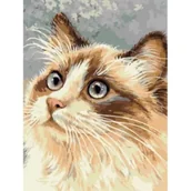 Malowanie po numerach - Titanum Malowanie po numerach - 30x40cm Kot - miniaturka - grafika 1