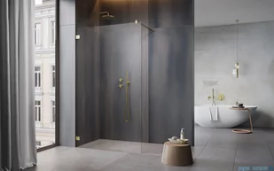 Radaway Essenza Pro Brushed Gold 100x200 kabina Walk-in szczotkowane złoto 10103100-99-01 - Kabiny prysznicowe - miniaturka - grafika 3