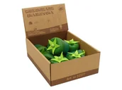 Zabawki interaktywne dla dzieci - Brimarex Papryka drewniana - miniaturka - grafika 1