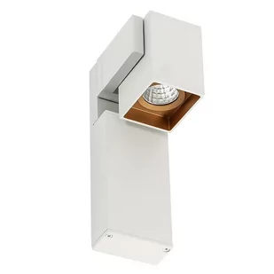 Italux Kinkiet ARAVENA WHITE GOLD WLB073/5W 3000K WH+GO - Lampy ścienne - miniaturka - grafika 1