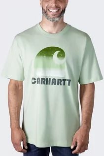 Koszulki sportowe męskie - Koszulka męska T-shirt Carhartt Heavyweight C Graphic Tender Green - grafika 1