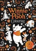 Pozostałe książki - Disney: Winnie The Pooh Colouring - miniaturka - grafika 1