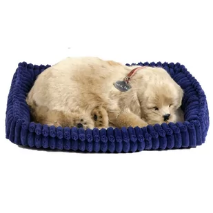 Plenty Gifts Perfect Petzzz Piesek Golden Retriever 96118 96118 - Maskotki i pluszaki - miniaturka - grafika 1