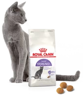 Sucha karma dla kotów - Royal Canin Senior Ageing Sterilised 12+ 2 kg - miniaturka - grafika 1