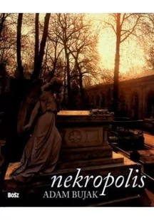 Nekropolis - Albumy - architektura - miniaturka - grafika 2