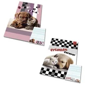 Notesy i bloczki - Notes A6 50 kartek w kratkę z poddrukiem Psy i Koty BEST FRIENDS 1 szt. mix - miniaturka - grafika 1