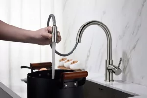 BLUE WATER PLAZA kolor STALI BATERIA Z WYCIĄGANĄ WYLEWKĄ kolor STALI - Baterie kuchenne - miniaturka - grafika 1