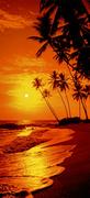 Fototapety - Zachód Słońca - dzika plaża palmy - fototapeta - miniaturka - grafika 1