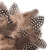 Zabawki kreatywne - Dalprint Piórka przepiórcze 5-12 cm, 5g - miniaturka - grafika 1