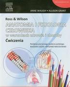 Zdrowie - poradniki - Urban & Partner Ross & Wilson Anatomia i fizjologia człowieka w warunkach zdrowia i choroby ćwiczenia - Anne Waugh, Allison Grant - miniaturka - grafika 1