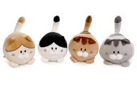 Maskotki i pluszaki - Kotki pluszowe mix - zabawka - miniaturka - grafika 1