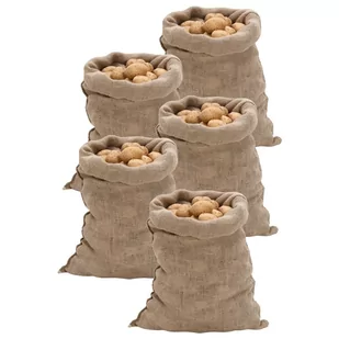 vidaXL Worki jutowe, 5 szt., 60x105 cm, 100% juta, 220 g/m² - Plecaki - miniaturka - grafika 1