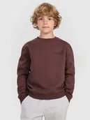 Bluzy dla chłopców - 4F Bluza dresowa nierozpinana bez kaptura chłopięca - brązowa 122 (6-7 lat) - miniaturka - grafika 1