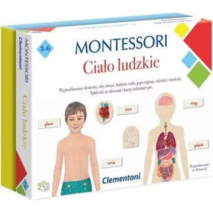 Clementoni Montessori Ciało ludzkie p6 50095 - Układanki dla dzieci - miniaturka - grafika 1