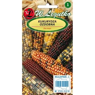 KUKURYDZA OZDOBNA - Nasiona i cebule - miniaturka - grafika 1
