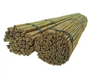 Ogrodzenia - Tyczki bambusowe 240 cm 22/24 mm /10 szt/ - miniaturka - grafika 1