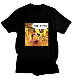 KOSZULKA Z NADRUKIEM MĘSKA ŚMIESZNA T-SHIRT THIS IS FINE MEM PIESEŁ r. L 4 - Koszulki męskie KOSZULKA Z NADRUKIEM MĘSKA ŚMIESZNA T-SHIRT THIS IS FINE MEM PIESEŁ r. L 4 - Koszulki męskie - miniaturka - grafika 1