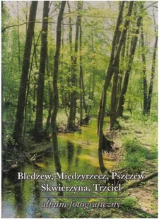 Bledzew, Międzyrzecz, Pszczew Skwierczyna, Trzciel - Książki o kulturze i sztuce - miniaturka - grafika 1