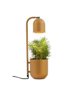 Lampy stojące - Kaspa Lampa stołowa Botanica 40847114 nowoczesna musztardowa oprawa z doniczką 40847114 - miniaturka - grafika 1