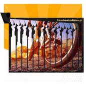 Skarbonki - Prezent dla rowerzysty Zbieranie na rower - miniaturka - grafika 1