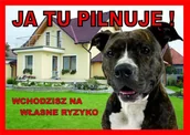 Pozostałe akcesoria dla psów - Rokus Rokus Tabliczka "Ja tu pilnuję" amstaff - miniaturka - grafika 1