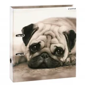 Segregatory - Starpak Segregator A4 Psy 7 cm - miniaturka - grafika 1