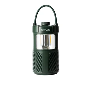 Pure 252584 głośnik przenośny / imprezowy Zielony 20 W - Głośniki przenośne - miniaturka - grafika 1