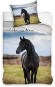 Pościel dla dzieci - Pościel młodzieżowa bawełniana  160x200  z koniem Koń - miniaturka - grafika 1