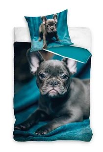 Komplet pościeli 135x200cm + 80x80cm PIES BULDOG - Pościel dla dzieci - miniaturka - grafika 1