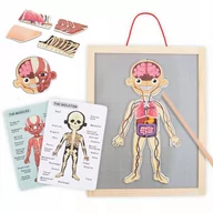 Zabawki interaktywne dla dzieci - Drewniane puzzle Magnetyczne Nauka anatomii ciało - miniaturka - grafika 1