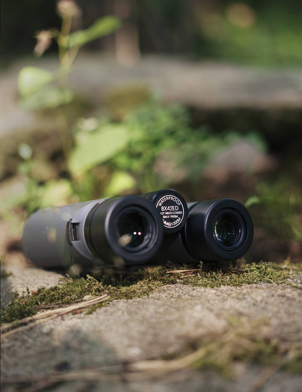 Focus Observer 8x42 ED