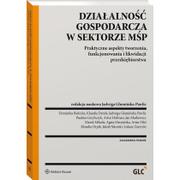 Prawo - Działalność gospodarcza w sektorze MŚP Jadwiga Glumińska-Pawlic - miniaturka - grafika 1