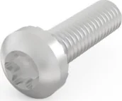 Śruby i nakrętki - SCHROFF Śruba z łbem walcowym, Torx, M4 x 14, 100 szt. - miniaturka - grafika 1