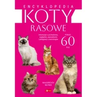Rośliny i zwierzęta - Encyklopedia kotów rasowych - miniaturka - grafika 1