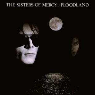 Warner Music Floodland - Winyle - miniaturka - grafika 2