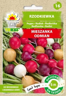 Rzodkiewka Mieszanka Odmian - Nasiona i cebule - miniaturka - grafika 1