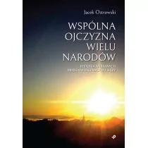 Wspólna Ojczyzna Wielu Narodów Historia Wybranych Miejscowości Masywu Ślęży Jacek Ostrowski - Historia świata - miniaturka - grafika 1