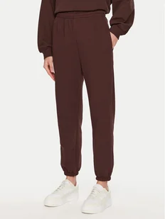ViCOLO Spodnie dresowe TS0553 Brązowy Regular Fit - Spodnie sportowe damskie - miniaturka - grafika 1