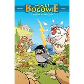 Pozostałe książki - Mali Bogowie. Piorun do drapania. Tom 1 - miniaturka - grafika 1