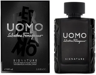 SALVATORE FERRAGAMO Uomo Signature EDP spray 100ml - Wody i perfumy męskie - miniaturka - grafika 1