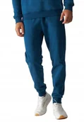 Dresy męskie - Męskie spodnie dresowe 4F joggery TROM0942 46S morski XXL - miniaturka - grafika 1