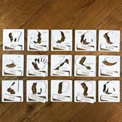 Pomoce naukowe - Układanka tematyczna - części ciała - Colorado - miniaturka - grafika 1