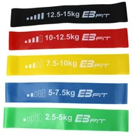 Gumy, taśmy, ekspandery - EB FIT Zestaw gum do ćwiczeń fitness crossfit mini band 5W1 Eb fit 1028842 - miniaturka - grafika 1