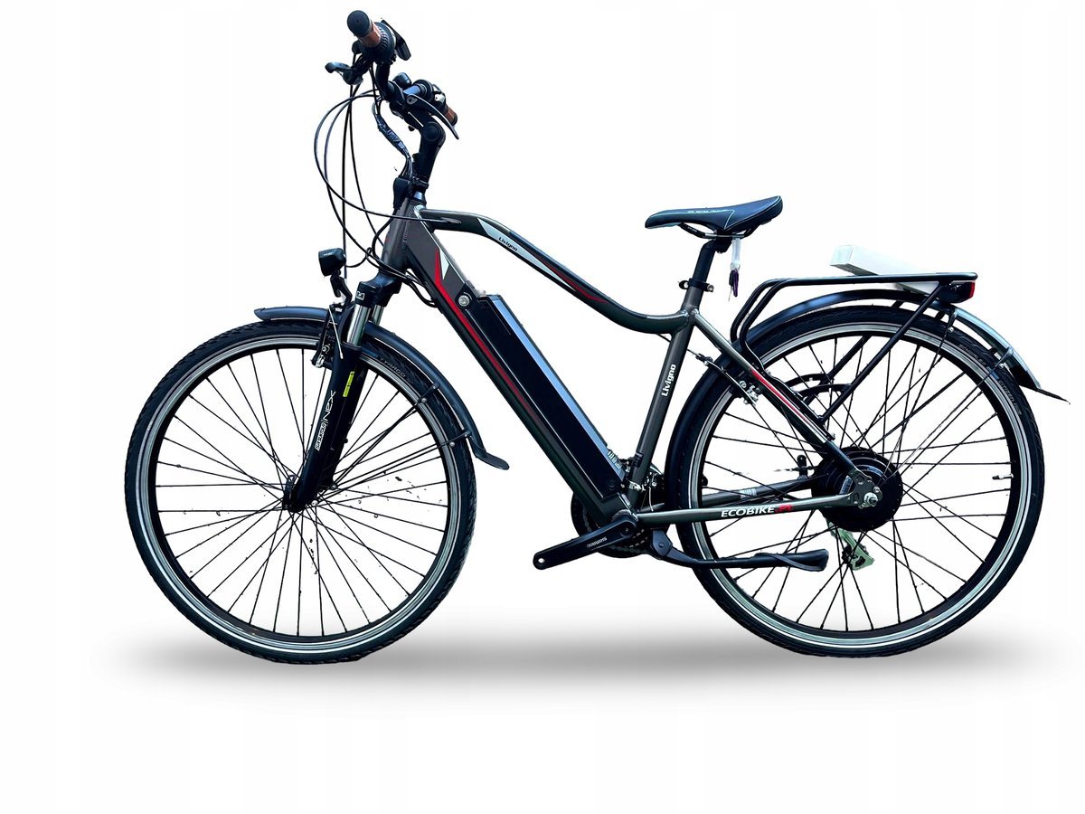 ROWER ELEKTRYCZNY ECOBIKE LIVIGNO RAMA 19