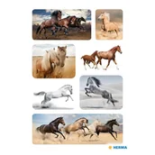 Zabawki kreatywne - Herma naklejki Konie Koniki źrebak - miniaturka - grafika 1